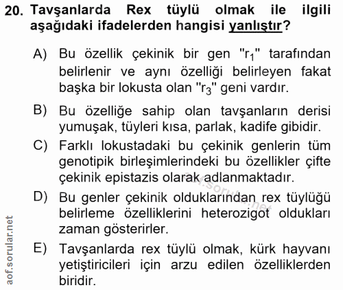 Soru 20