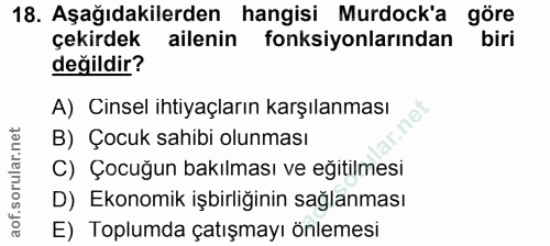 Soru 18