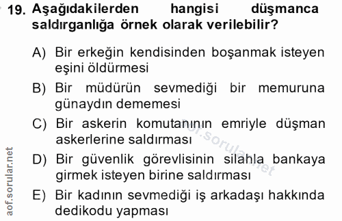 Soru 19