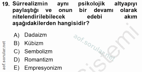 Soru 19