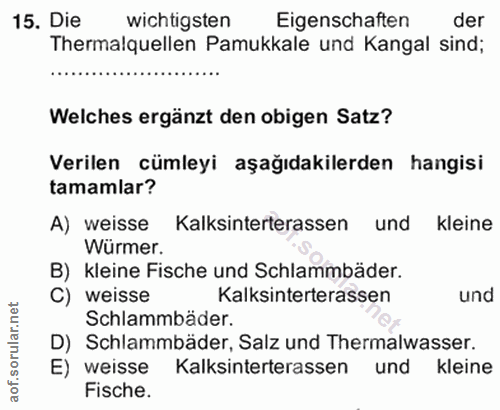 Soru 15