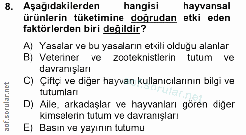 Soru 8