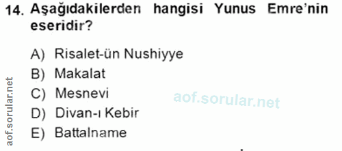 Soru 14