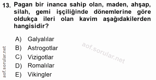 Soru 13