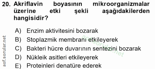 Soru 20