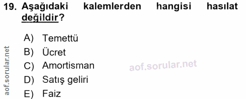 Soru 19