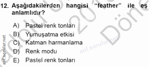 Soru 12