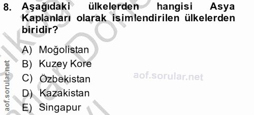 Soru 8