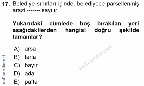 Soru 17