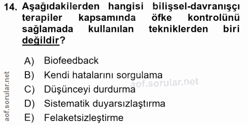 Soru 14