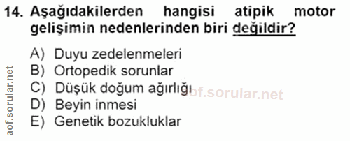 Soru 14
