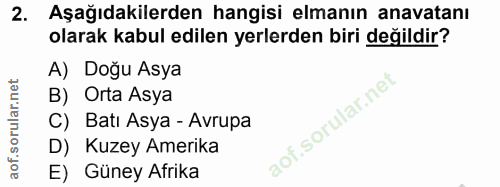 Soru 2