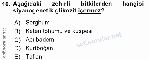 Soru 16
