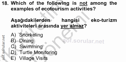 Soru 18