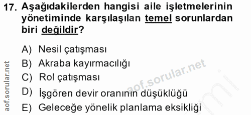 Soru 17
