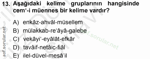 Soru 13