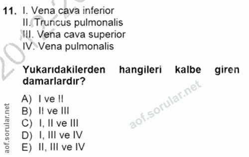 Soru 11