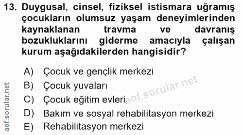 Soru 13