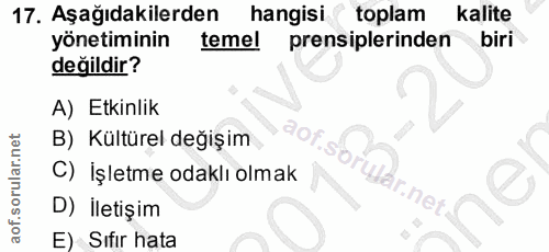 Soru 17