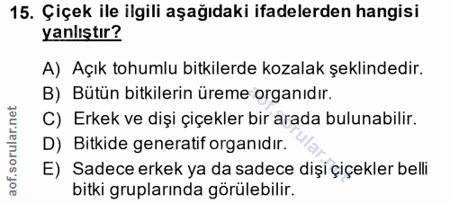 Soru 15