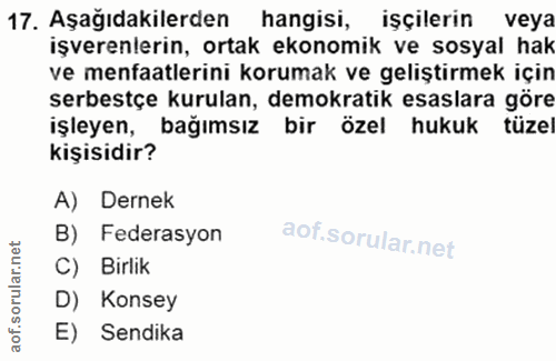 Soru 17