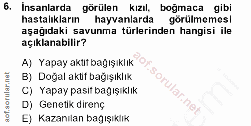 Soru 6