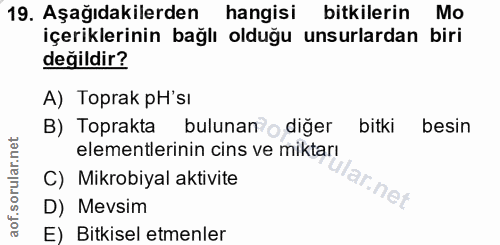 Soru 19