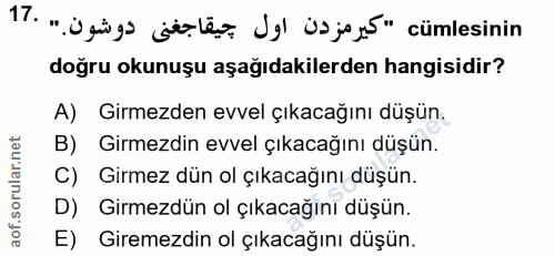 Soru 17