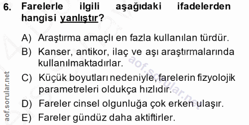 Soru 6