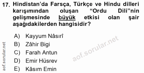 Soru 17