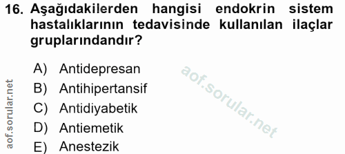 Soru 16