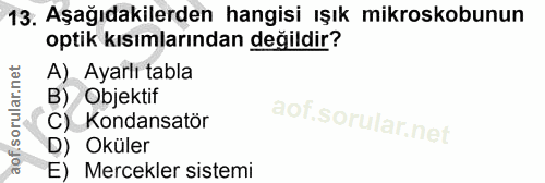 Soru 13