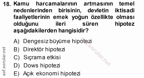 Soru 18