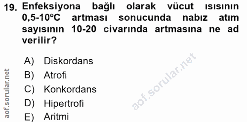 Soru 19