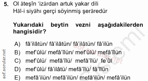 Soru 5