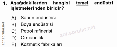 Soru 1
