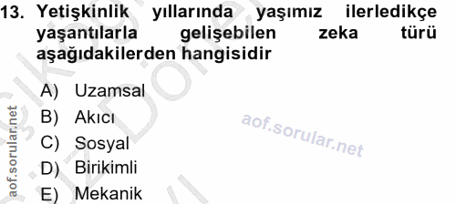 Soru 13