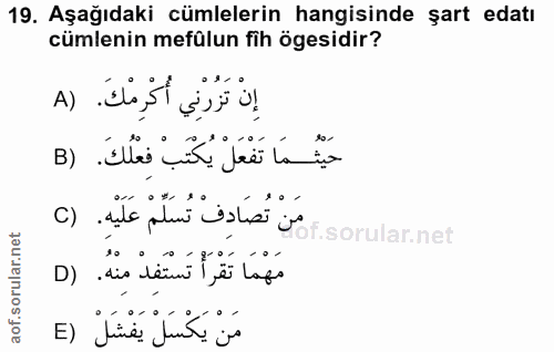 Soru 19