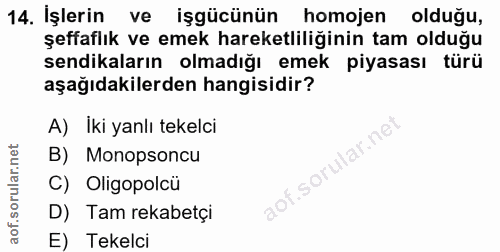 Soru 14
