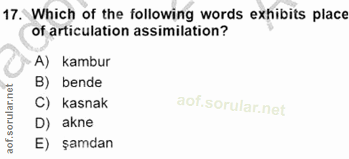 Soru 17