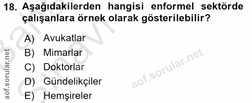 Soru 18
