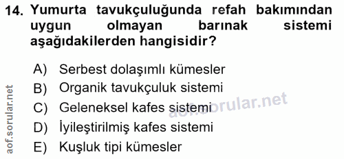 Soru 14