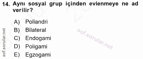 Soru 14