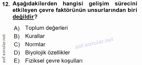 Soru 12