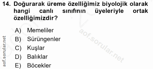 Soru 14