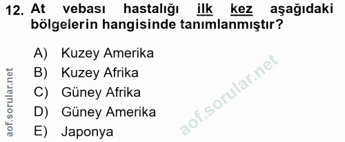 Soru 12