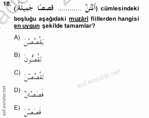 Soru 10
