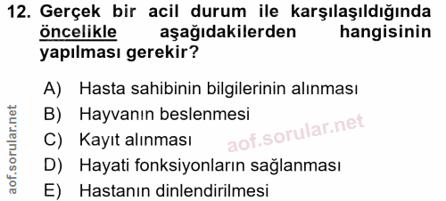 Soru 12