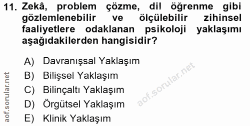 Soru 11