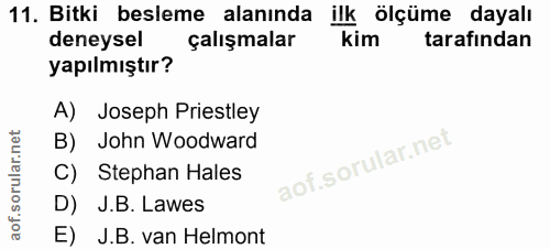 Soru 11